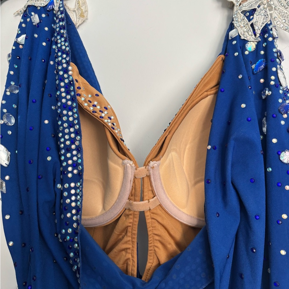 Latin Rhythm Competition Dress - Picture 10 of 12